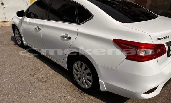 Buy Used Nissan Sentra White Car in Angeghakot in Syunik Buy Used Nissan Sentra White Car in Angeghakot in Syunik