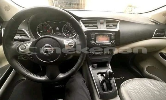 Buy Used Nissan Sentra White Car in Angeghakot in Syunik Buy Used Nissan Sentra White Car in Angeghakot in Syunik