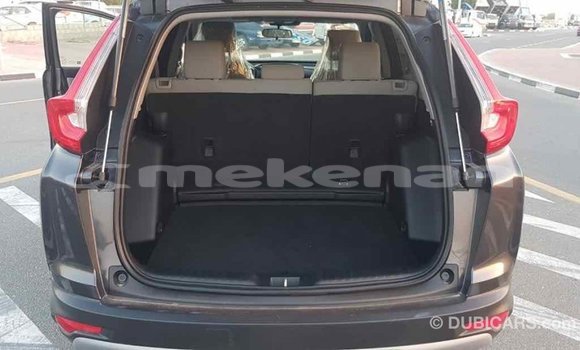 Buy Import Honda C Other Bike in Import - Dubai in Aragatsotn Buy Import Honda C Other Bike in Import - Dubai in Aragatsotn