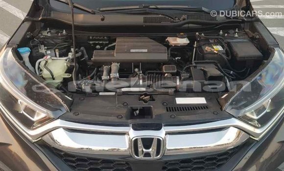 Buy Import Honda C Other Bike in Import - Dubai in Aragatsotn