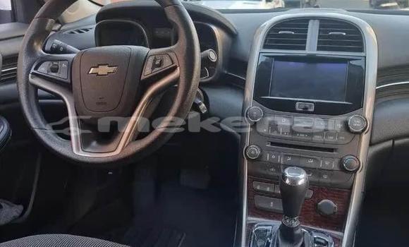 Buy Used Chevrolet Malibu White Car in Angeghakot in Syunik Buy Used Chevrolet Malibu White Car in Angeghakot in Syunik