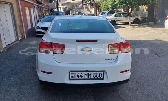 Buy Used Chevrolet Malibu White Car in Angeghakot in Syunik Buy Used Chevrolet Malibu White Car in Angeghakot in Syunik