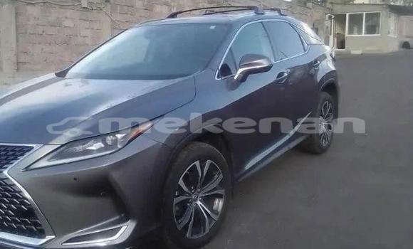 Buy Used Lexus RX Other Car in Alaverdi in Lori