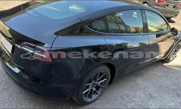 Buy Used Tesla Model 3 Black Car in Ararat in Ararat Buy Used Tesla Model 3 Black Car in Ararat in Ararat
