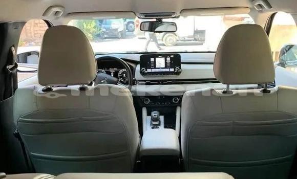 Buy Used Mitsubishi Outlander Black Car in Angeghakot in Syunik Buy Used Mitsubishi Outlander Black Car in Angeghakot in Syunik