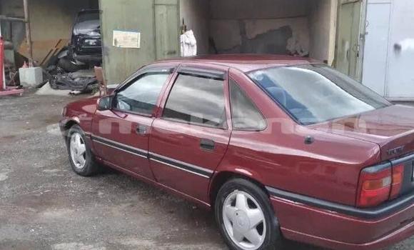 Buy Used Opel Vectra Red Car in Ararat in Ararat Buy Used Opel Vectra Red Car in Ararat in Ararat