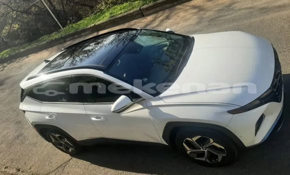 Buy Used Hyundai Tucson White Car in Armavir in Armavir Buy Used Hyundai Tucson White Car in Armavir in Armavir