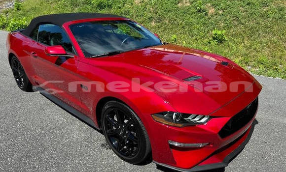 Buy Used Ford Mustang Red Car in Yerevan in Yerevan Buy Used Ford Mustang Red Car in Yerevan in Yerevan