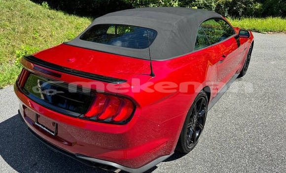 Buy Used Ford Mustang Red Car in Yerevan in Yerevan Buy Used Ford Mustang Red Car in Yerevan in Yerevan
