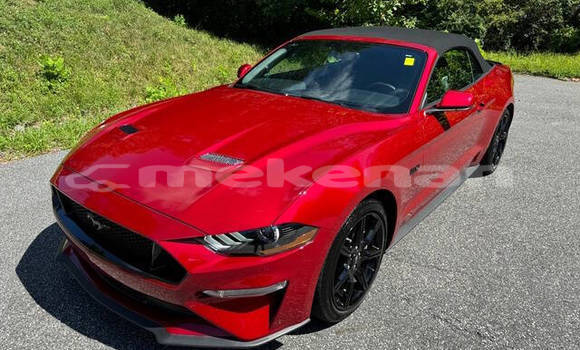 Buy Used Ford Mustang Red Car in Yerevan in Yerevan Buy Used Ford Mustang Red Car in Yerevan in Yerevan