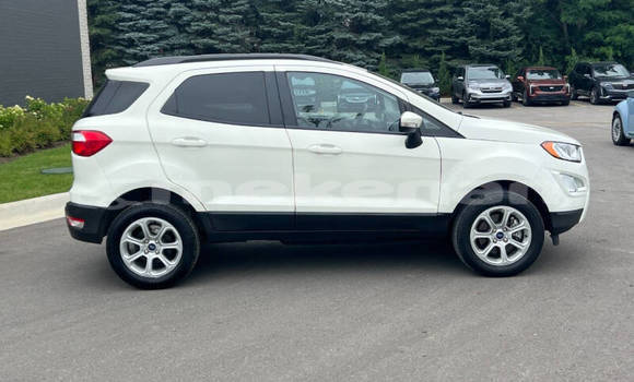 Buy Used Ford EcoSport White Car in Yerevan in Yerevan Buy Used Ford EcoSport White Car in Yerevan in Yerevan