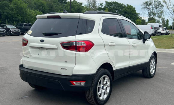 Buy Used Ford EcoSport White Car in Yerevan in Yerevan Buy Used Ford EcoSport White Car in Yerevan in Yerevan