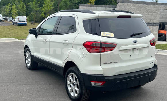 Buy Used Ford EcoSport White Car in Yerevan in Yerevan Buy Used Ford EcoSport White Car in Yerevan in Yerevan