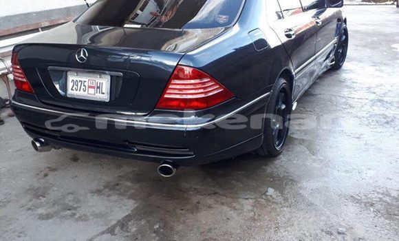 Buy Used Mercedes-Benz S-klasse Black Car in Yerevan in Yerevan Buy Used Mercedes-Benz S-klasse Black Car in Yerevan in Yerevan