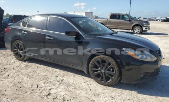 Buy Used Nissan Altima Black Car in Artashat in Ararat Buy Used Nissan Altima Black Car in Artashat in Ararat