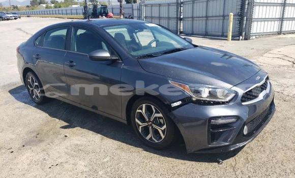 Buy Used Kia Forte Black Car in Angeghakot in Syunik Buy Used Kia Forte Black Car in Angeghakot in Syunik