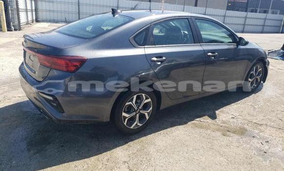 Buy Used Kia Forte Black Car in Angeghakot in Syunik Buy Used Kia Forte Black Car in Angeghakot in Syunik
