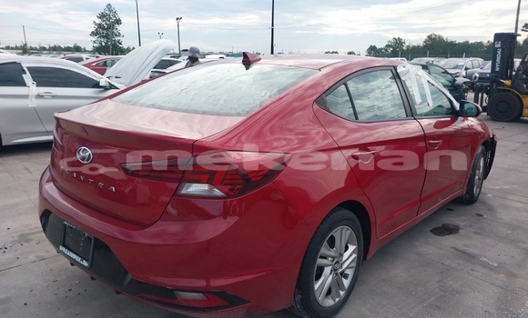 Buy Used Hyundai Elantra Red Car in Akhtala in Lori Buy Used Hyundai Elantra Red Car in Akhtala in Lori