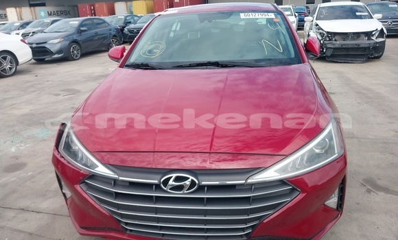 Buy Used Hyundai Elantra Red Car in Akhtala in Lori Buy Used Hyundai Elantra Red Car in Akhtala in Lori
