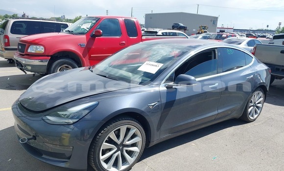 Buy Used Tesla Model 3 Black Car in Armavir in Armavir Buy Used Tesla Model 3 Black Car in Armavir in Armavir