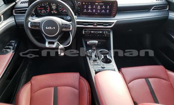 Buy Used Kia K5 White Car in Angeghakot in Syunik Buy Used Kia K5 White Car in Angeghakot in Syunik