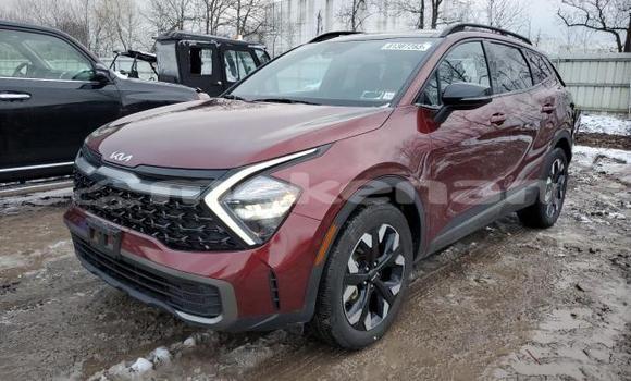 Buy Used Kia Sportage Red Car in Artashat in Ararat Buy Used Kia Sportage Red Car in Artashat in Ararat