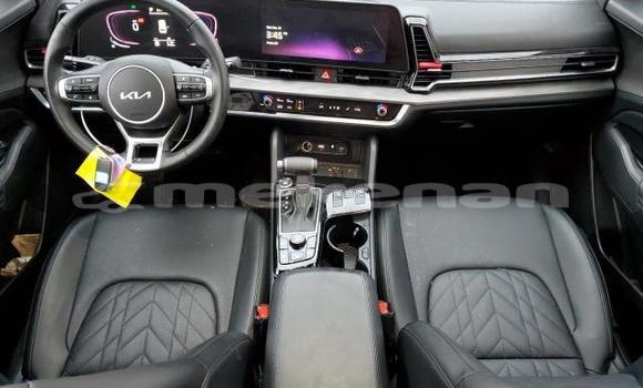 Buy Used Kia Sportage Red Car in Artashat in Ararat Buy Used Kia Sportage Red Car in Artashat in Ararat