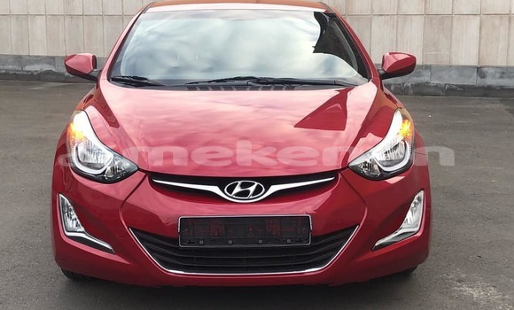 Buy Used Hyundai Elantra Red Car in Yerevan in Yerevan Buy Used Hyundai Elantra Red Car in Yerevan in Yerevan