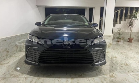 Buy Used Volkswagen Caddy Black Car in Angeghakot in Syunik Buy Used Volkswagen Caddy Black Car in Angeghakot in Syunik