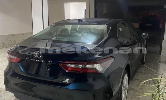 Buy Used Volkswagen Caddy Black Car in Angeghakot in Syunik Buy Used Volkswagen Caddy Black Car in Angeghakot in Syunik