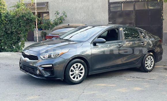 Buy Used Kia Forte Other Car in Akhtala in Lori Buy Used Kia Forte Other Car in Akhtala in Lori