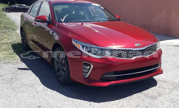 Buy Used Volkswagen Amarok Other Car in Armavir in Armavir