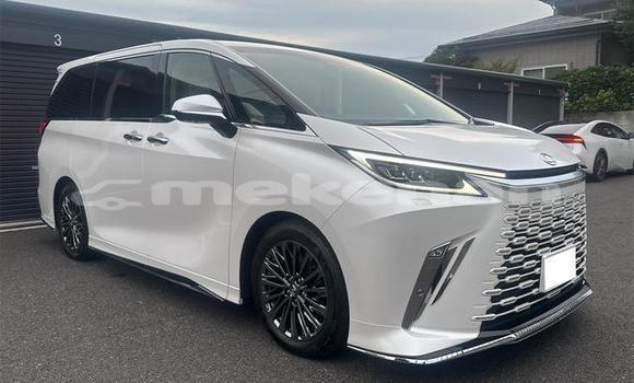 Buy Used Lexus LC White Car in Yerevan in Yerevan Buy Used Lexus LC White Car in Yerevan in Yerevan