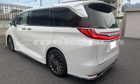 Buy Used Lexus LC White Car in Yerevan in Yerevan Buy Used Lexus LC White Car in Yerevan in Yerevan