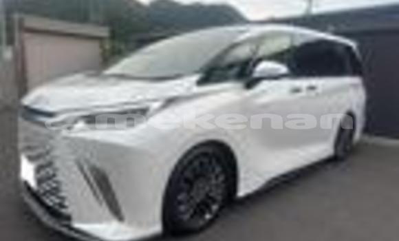 Buy Used Lexus LC White Car in Yerevan in Yerevan Buy Used Lexus LC White Car in Yerevan in Yerevan
