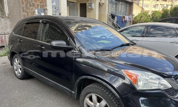 Buy Used Toyota RAV4 Other Car in Armavir in Armavir