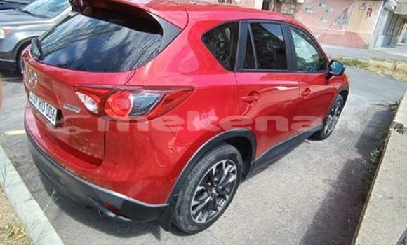 Buy Used Hyundai Accent Red Car in Armavir in Armavir Buy Used Hyundai Accent Red Car in Armavir in Armavir