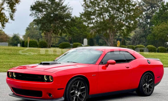 Buy Used Dodge Challenger Red Car in Yerevan in Yerevan Buy Used Dodge Challenger Red Car in Yerevan in Yerevan