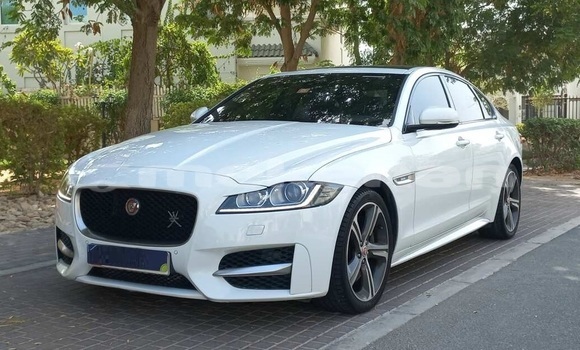 Buy Used Jaguar XF White Car in Yerevan in Yerevan Buy Used Jaguar XF White Car in Yerevan in Yerevan