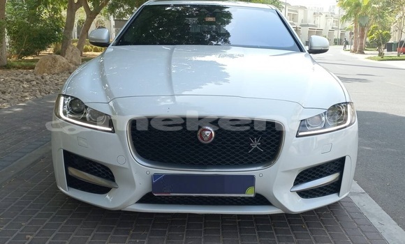 Buy Used Jaguar XF White Car in Yerevan in Yerevan Buy Used Jaguar XF White Car in Yerevan in Yerevan