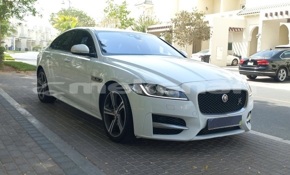 Buy Used Jaguar XF White Car in Yerevan in Yerevan Buy Used Jaguar XF White Car in Yerevan in Yerevan