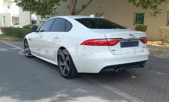 Buy Used Jaguar XF White Car in Yerevan in Yerevan Buy Used Jaguar XF White Car in Yerevan in Yerevan