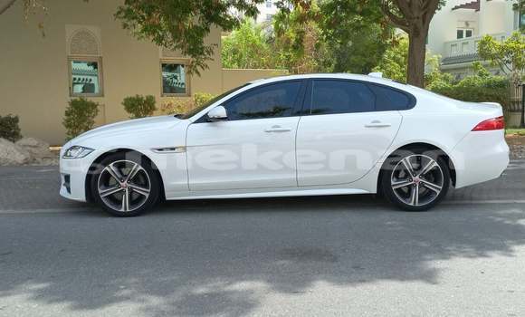 Buy Used Jaguar XF White Car in Yerevan in Yerevan Buy Used Jaguar XF White Car in Yerevan in Yerevan