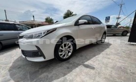 Buy Used Toyota Century Other Car in Ararat in Ararat Buy Used Toyota Century Other Car in Ararat in Ararat