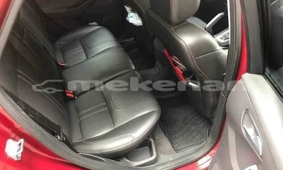 Buy Used Ford Focus Red Car in Armavir in Armavir Buy Used Ford Focus Red Car in Armavir in Armavir