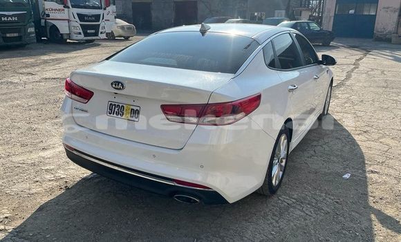 Buy Used Kia Optima White Car in Armavir in Armavir Buy Used Kia Optima White Car in Armavir in Armavir