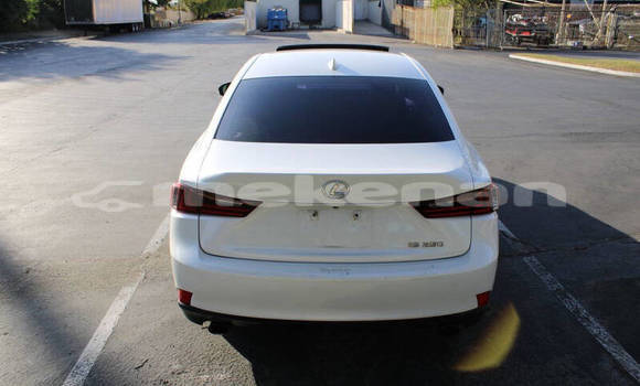 Buy Used Lexus IS White Car in Tashir in Lori Buy Used Lexus IS White Car in Tashir in Lori