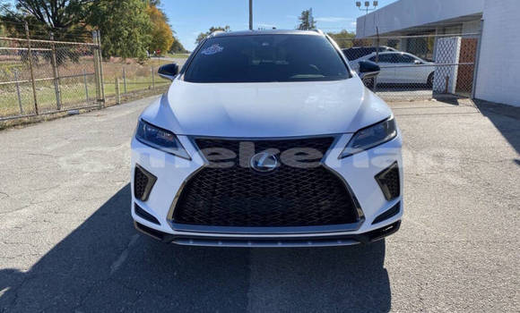 Buy Used Lexus RX 350 White Car in Yerevan in Yerevan Buy Used Lexus RX 350 White Car in Yerevan in Yerevan