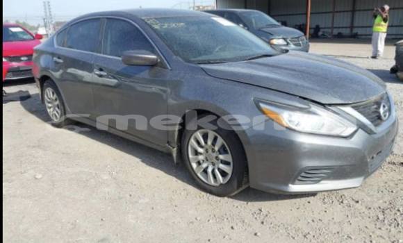 Buy Used Nissan Altima Other Car in Armavir in Armavir Buy Used Nissan Altima Other Car in Armavir in Armavir