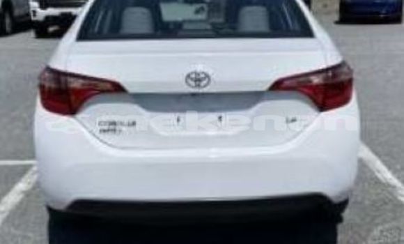 Buy Used Toyota Corolla White Car in Ararat in Ararat Buy Used Toyota Corolla White Car in Ararat in Ararat
